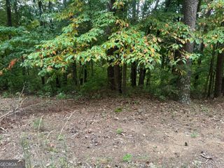 208 Oxford Circle NE, Ranger, GA 30734