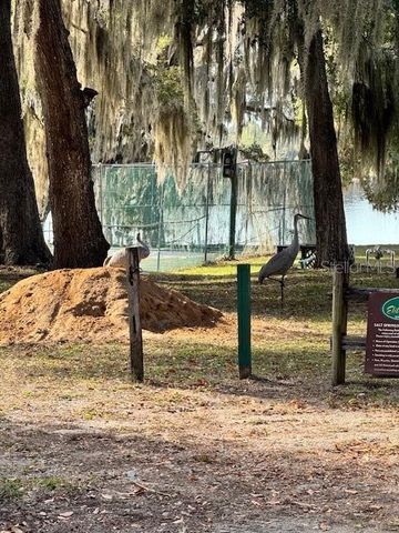 25325 NE 141ST STREET, Fort Mc Coy, FL 32134