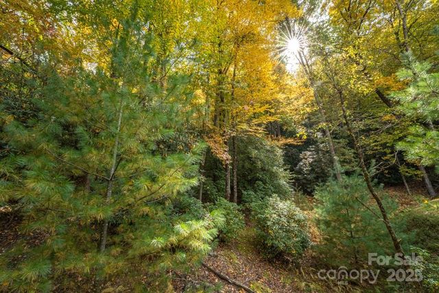 99999 Shining Rock Path, Horse Shoe, NC 28742