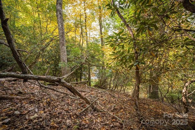 99999 Shining Rock Path, Horse Shoe, NC 28742