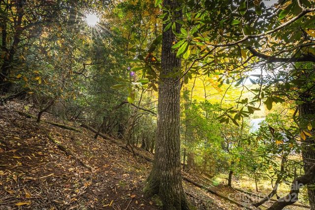 99999 Shining Rock Path, Horse Shoe, NC 28742