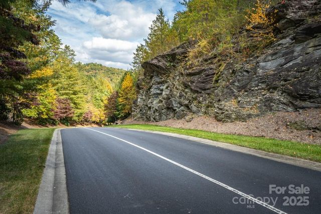 99999 Shining Rock Path, Horse Shoe, NC 28742