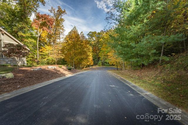 99999 Shining Rock Path, Horse Shoe, NC 28742