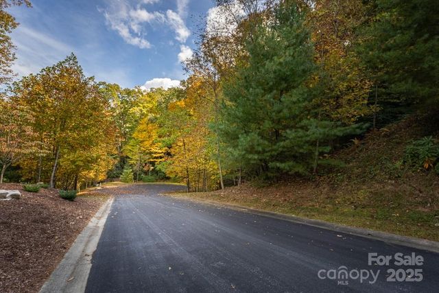 99999 Shining Rock Path, Horse Shoe, NC 28742