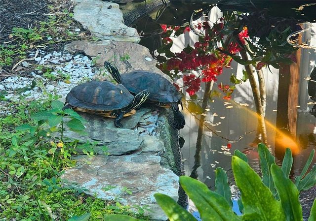 4600 30TH AVENUE N, St Petersburg, FL 33713