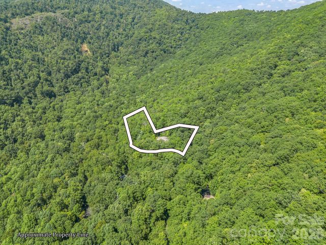366 Summer Haven Road, Swannanoa, NC 28778