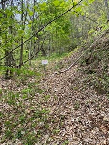 Lot 319 B & C Eagles Nest Road, Waynesville, NC 28786