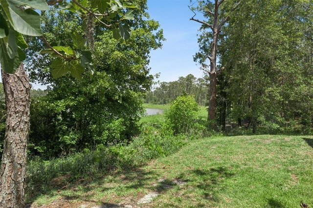 14005 SPARKLING COVE LANE, Windermere, FL 34786