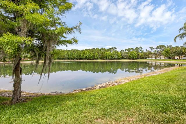 14005 SPARKLING COVE LANE, Windermere, FL 34786