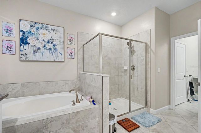 9189 SHADYSIDE LANE, Land O Lakes, FL 34637