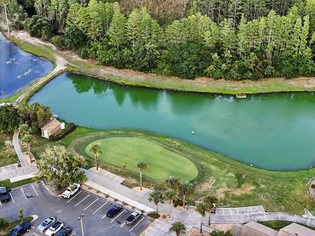 9189 SHADYSIDE LANE, Land O Lakes, FL 34637
