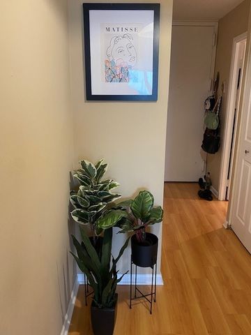 1636 N Wells Street 3414, Chicago, IL 60614