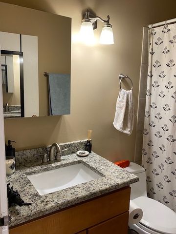 1636 N Wells Street 3414, Chicago, IL 60614