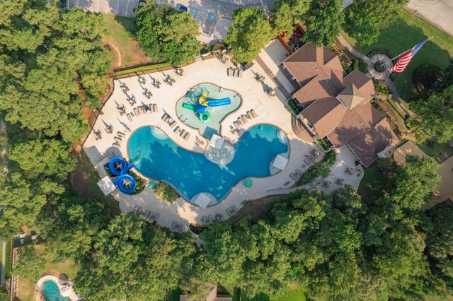 22013 Dove Canyon Lane, Porter, TX 77365