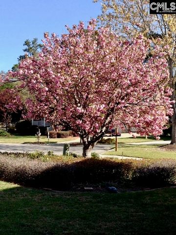 2008 Rolling Pines Drive, Columbia, SC 29206