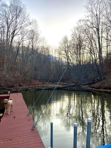 2085 Lakewood Forest RD, Moneta, VA 24121