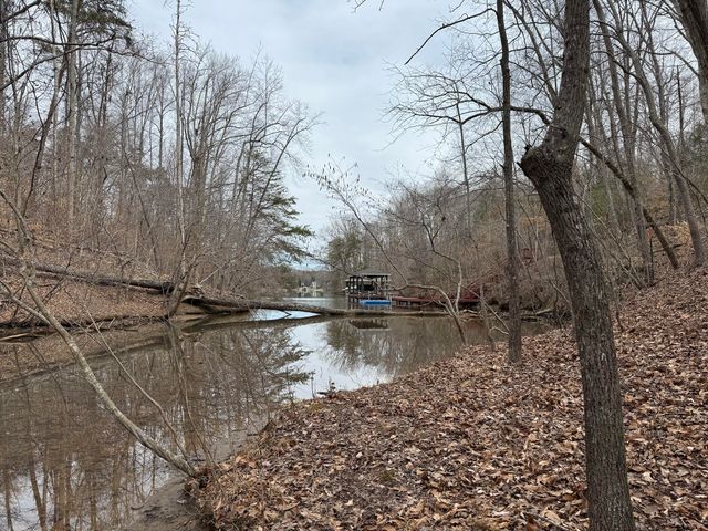 2085 Lakewood Forest RD, Moneta, VA 24121