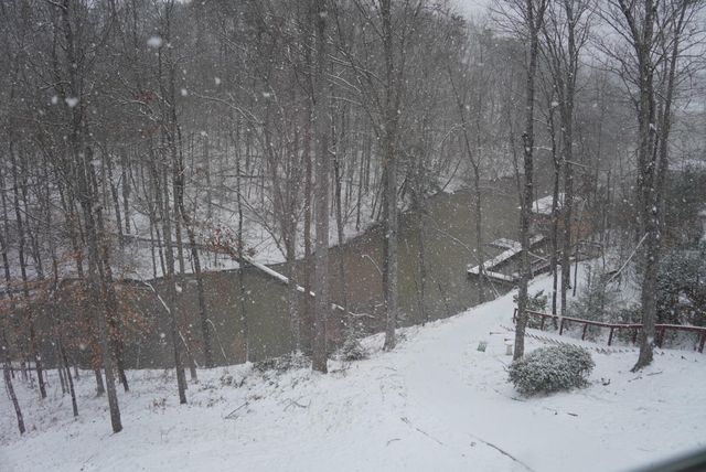 2085 Lakewood Forest RD, Moneta, VA 24121