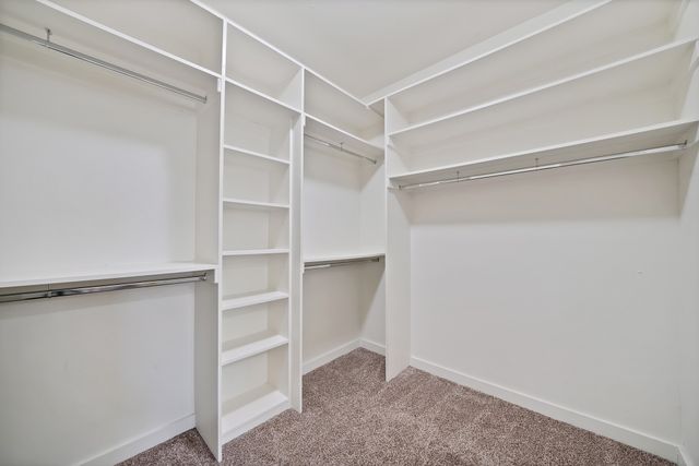 7834 Black Willow Lane, Arlington, TX 76002