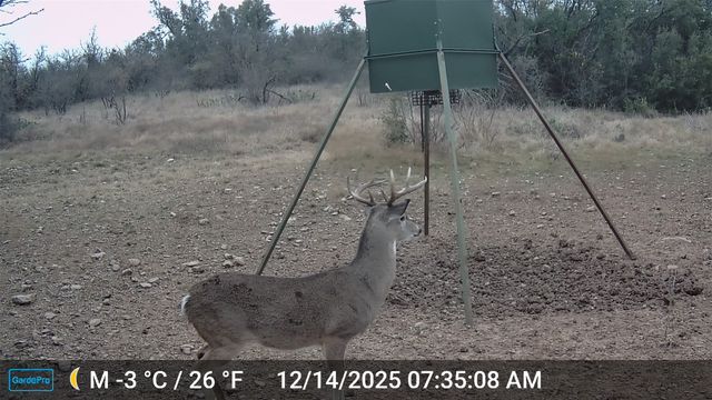 2117 Hwy 6, Cisco, TX 76437