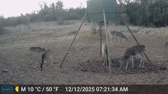 2117 Hwy 6, Cisco, TX 76437