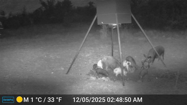 2117 Hwy 6, Cisco, TX 76437