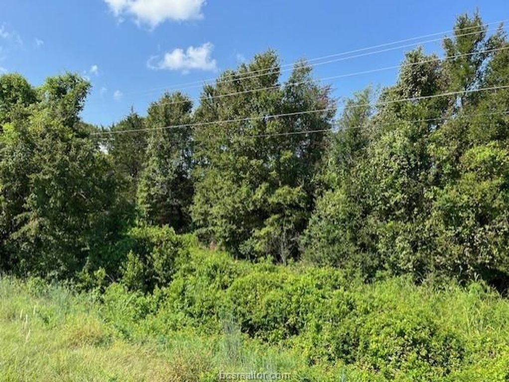TBD LaSalle, Navasota, TX 77868 — photo 2