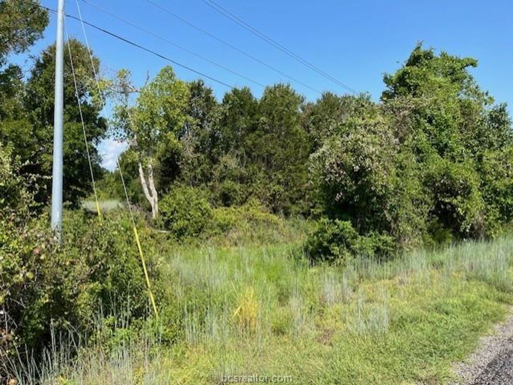 TBD LaSalle, Navasota, TX 77868 — photo 3