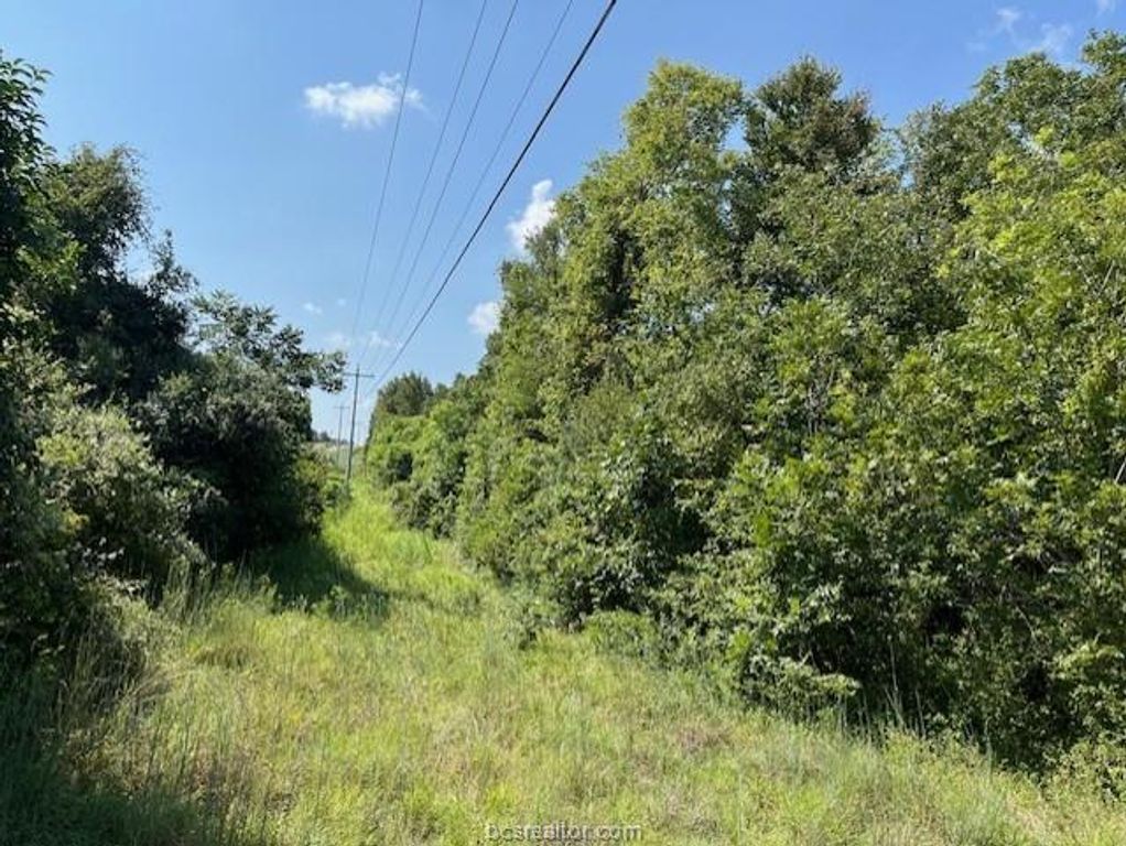 TBD LaSalle, Navasota, TX 77868 — photo 4