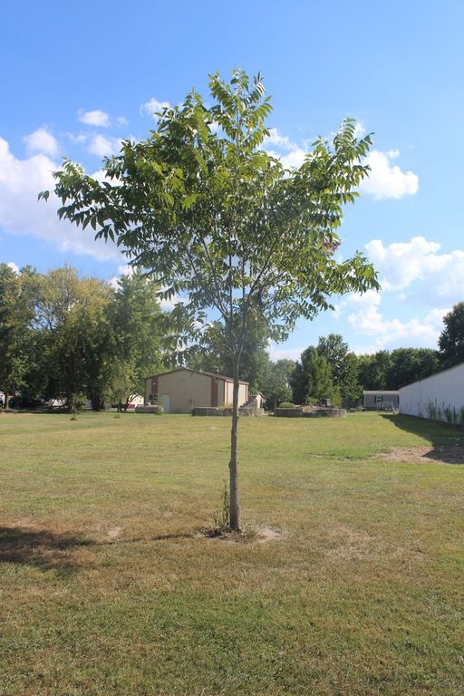 Image 7 of property listing at 709 Thomas Street, Iuka, IL 62849