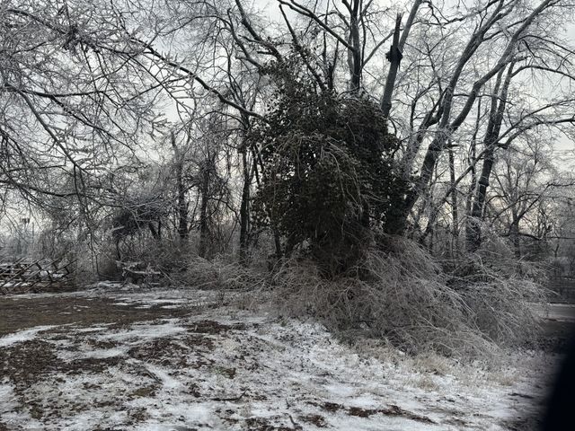 2615 Old Hickory Blvd, Old Hickory, TN 37138