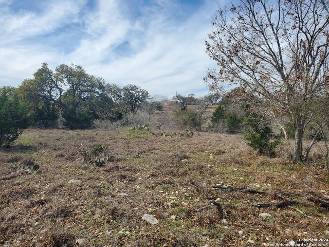 136 W Eli Chandler, Blanco, TX 78606