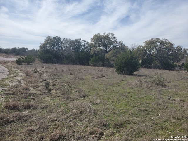 136 W Eli Chandler, Blanco, TX 78606