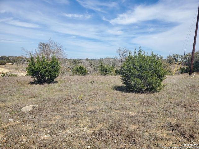 136 W Eli Chandler, Blanco, TX 78606