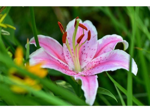 311 Monroe Avenue S, Edina, MN 55343