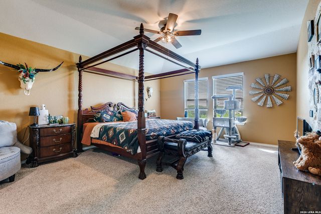131 Grey Woodpecker, San Antonio, TX 78253
