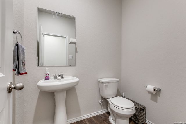 131 Grey Woodpecker, San Antonio, TX 78253