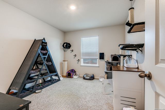 131 Grey Woodpecker, San Antonio, TX 78253