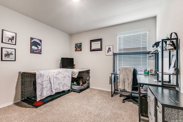 131 Grey Woodpecker, San Antonio, TX 78253