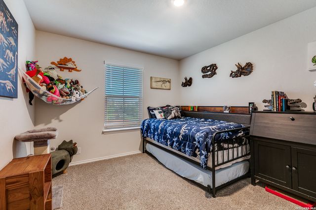 131 Grey Woodpecker, San Antonio, TX 78253