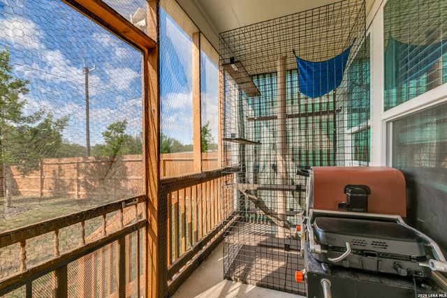 131 Grey Woodpecker, San Antonio, TX 78253