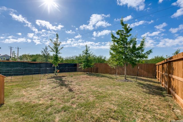 131 Grey Woodpecker, San Antonio, TX 78253