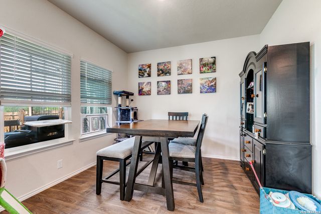 131 Grey Woodpecker, San Antonio, TX 78253