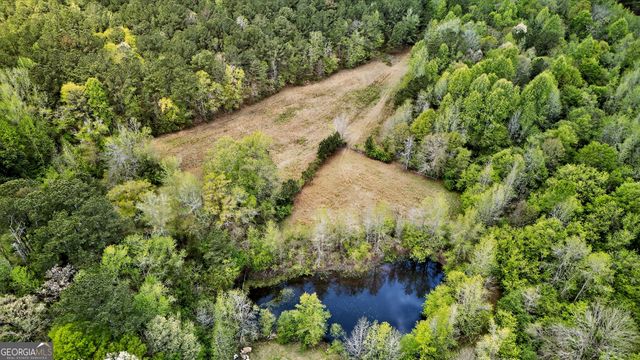 7142 Hamilton Road, Pine Mountain, GA 31822