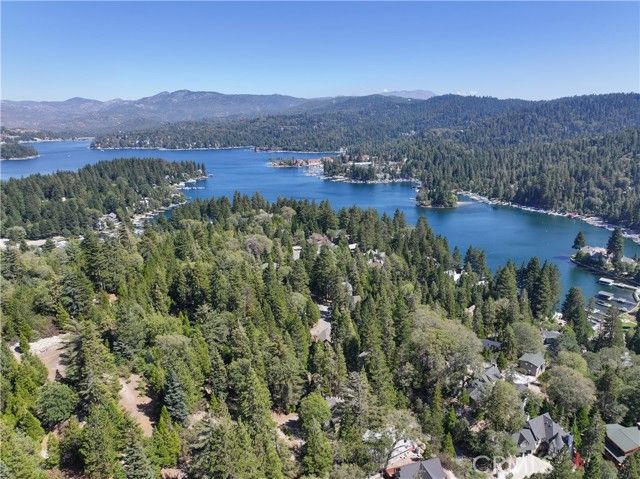 27486 Oakwood, Lake Arrowhead, CA 92352