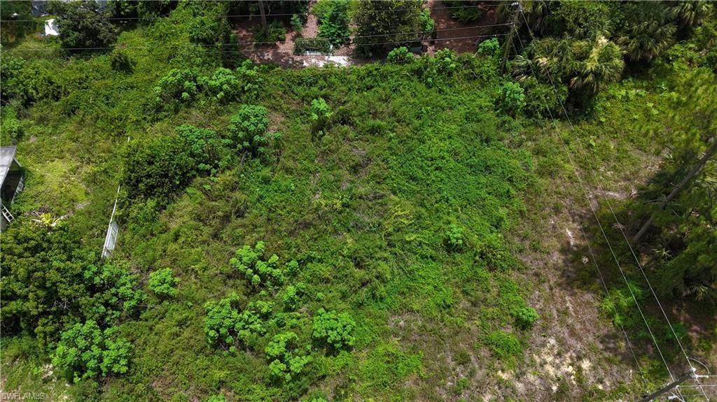 420 Hamilton AVE, LEHIGH ACRES, FL 33972 — photo 4