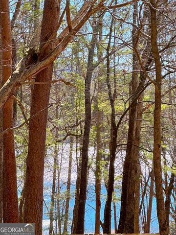 0 Horse Cove Court, Jasper, GA 30143