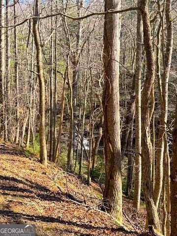 0 Horse Cove Court, Jasper, GA 30143