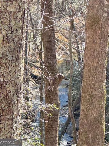 0 Horse Cove Court, Jasper, GA 30143