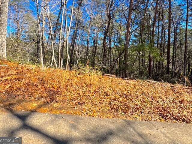 0 Horse Cove Court, Jasper, GA 30143